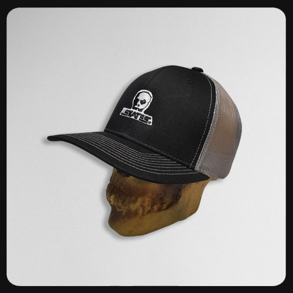 Logo Black Silver Curved Brim Mesh Cap